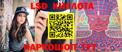 винт Славгород