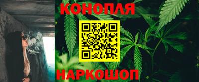 Альфа ПВП Ставрополь