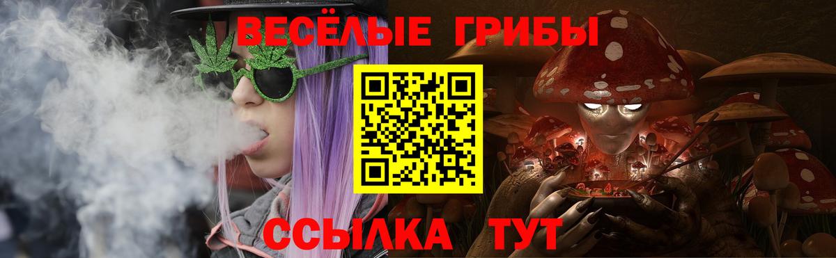 Боровичи  Галлюциногенные грибы Psilocybe  Вход с VPN 